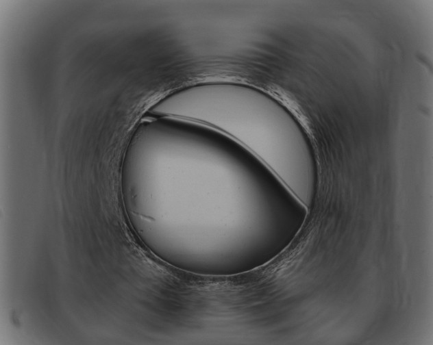 X0000093420385200710120901