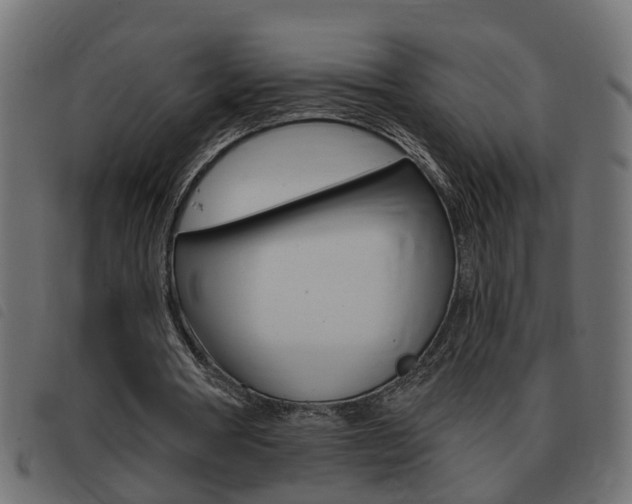 X0000093420386200710120901