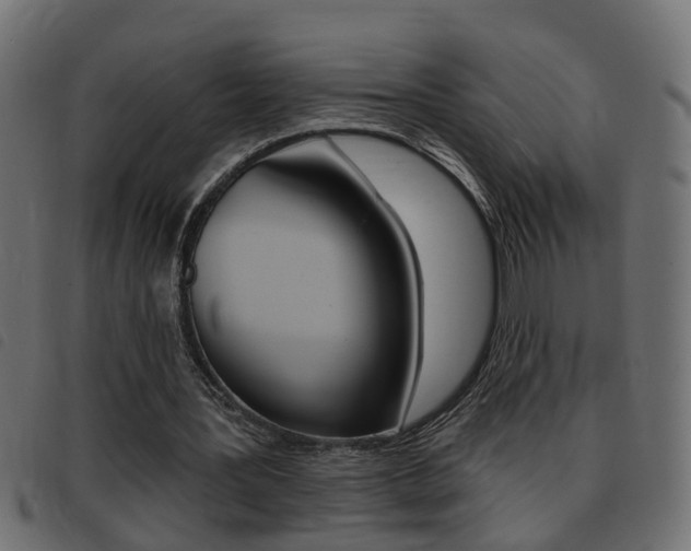 X0000093420387200710120901