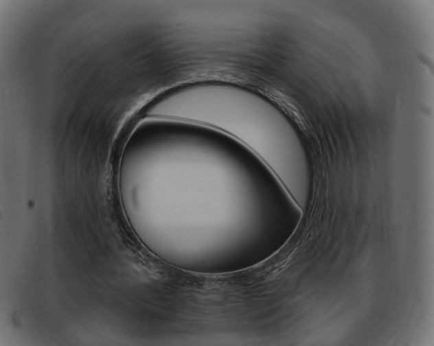 X0000093420388200710120901