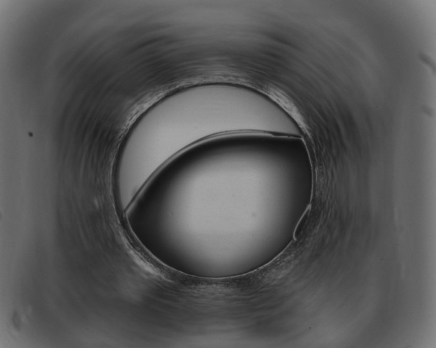 X0000093420389200710120901