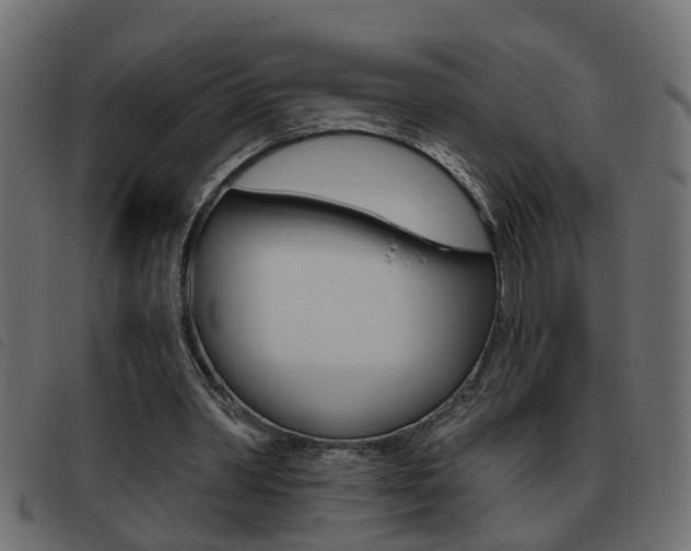 X0000093420390200710120901
