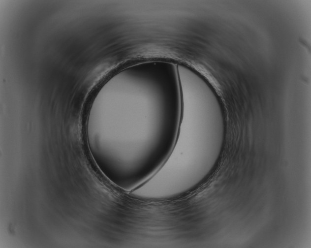 X0000093420391200710120901