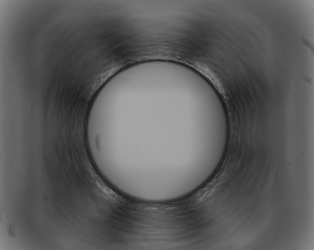 X0000093420393200710120901