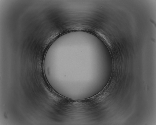 X0000093420394200710120901
