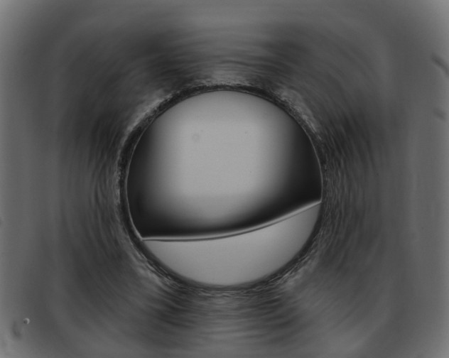 X0000093420395200710120901