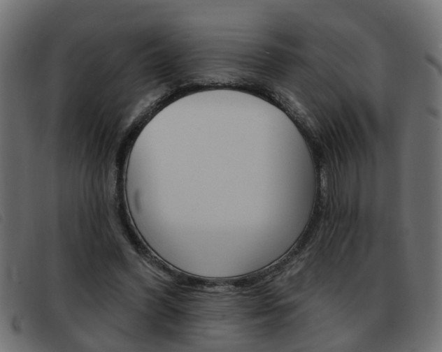 X0000093420396200710120901