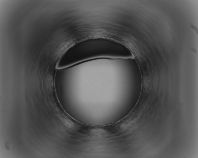 X0000093420397200710120901