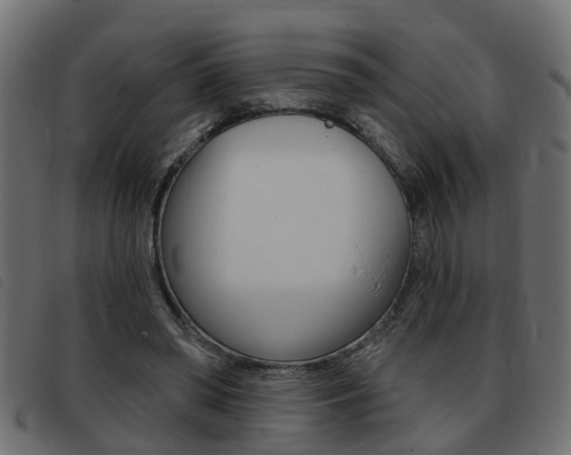 X0000093420398200710120901