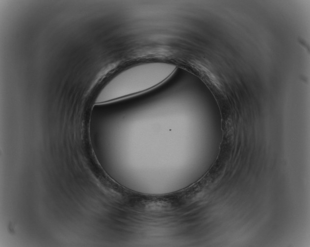 X0000093420400200710120901
