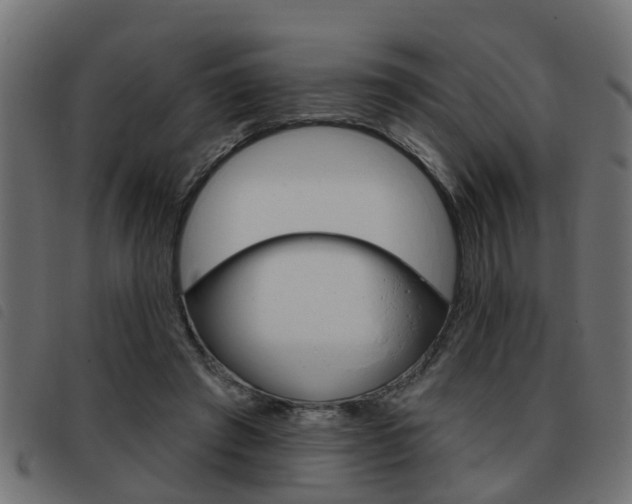 X0000093420401200710120901