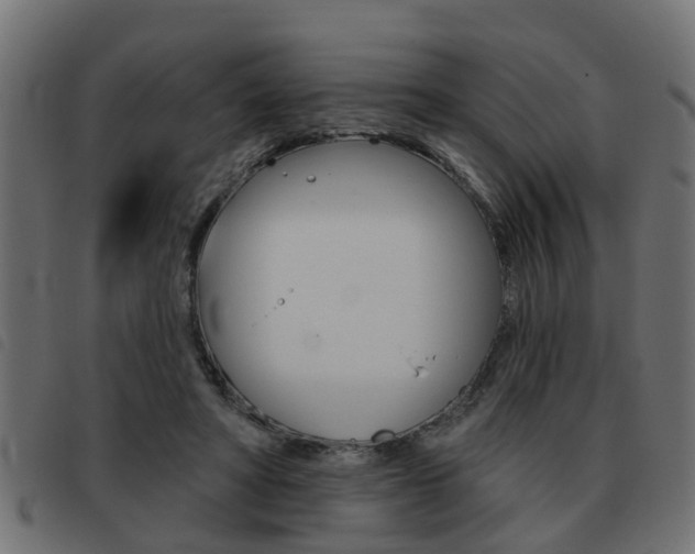 X0000093420402200710120901