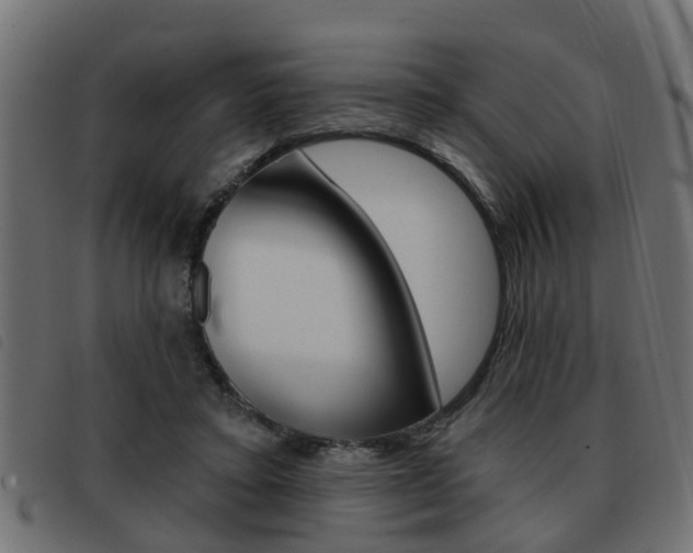 X0000093420403200710120901
