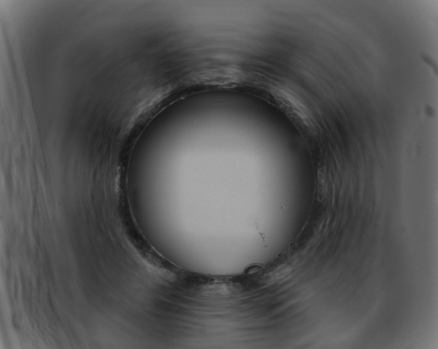 X0000093420404200710120901