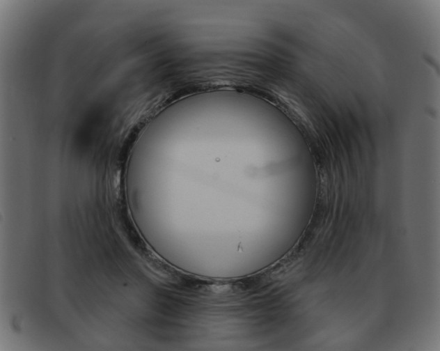 X0000093420406200710120901