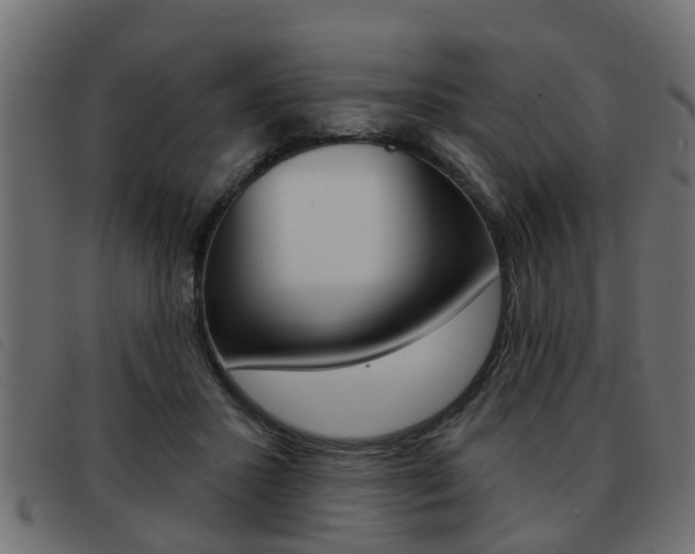 X0000093420407200710120901