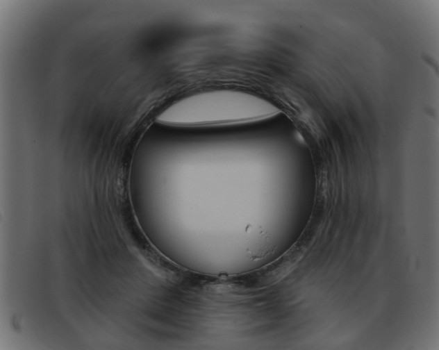 X0000093420408200710120901