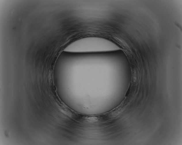 X0000093420409200710120901