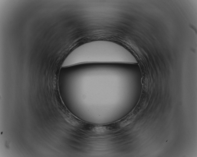 X0000093420413200710120901