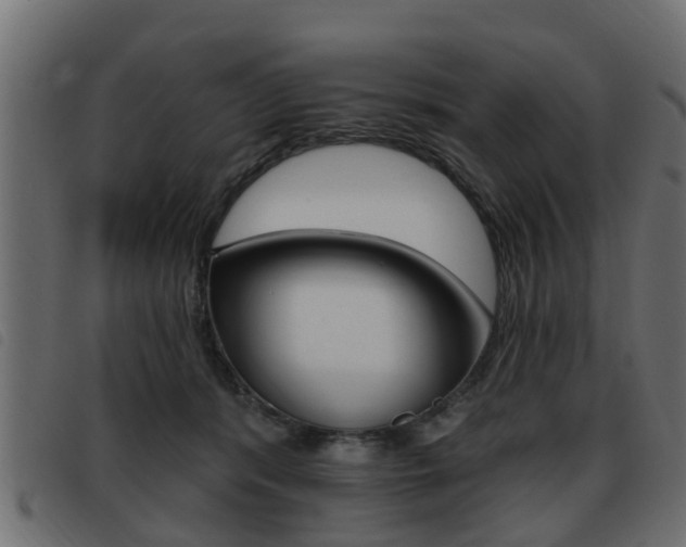 X0000093420416200710120901