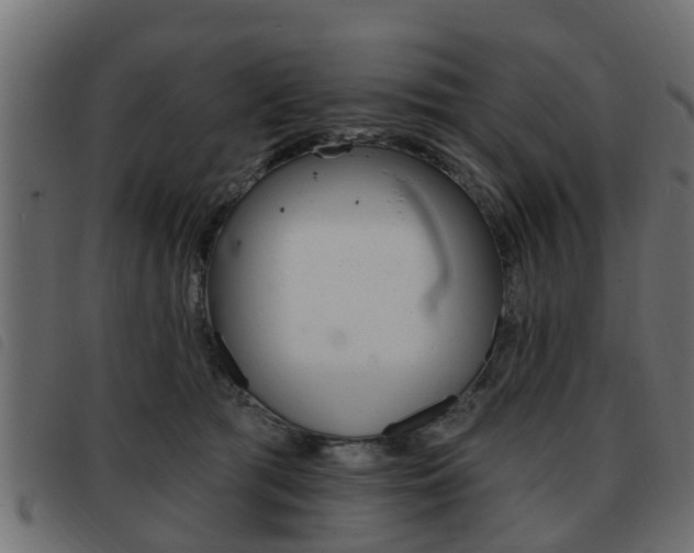 X0000093420417200710120901