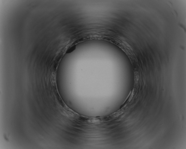 X0000093420419200710120901