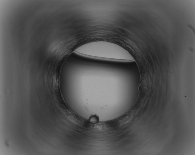 X0000093420420200710120901