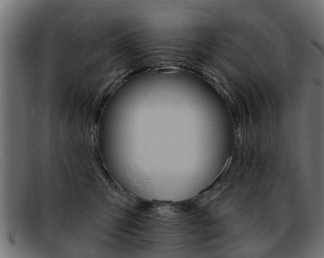 X0000093420423200710120900