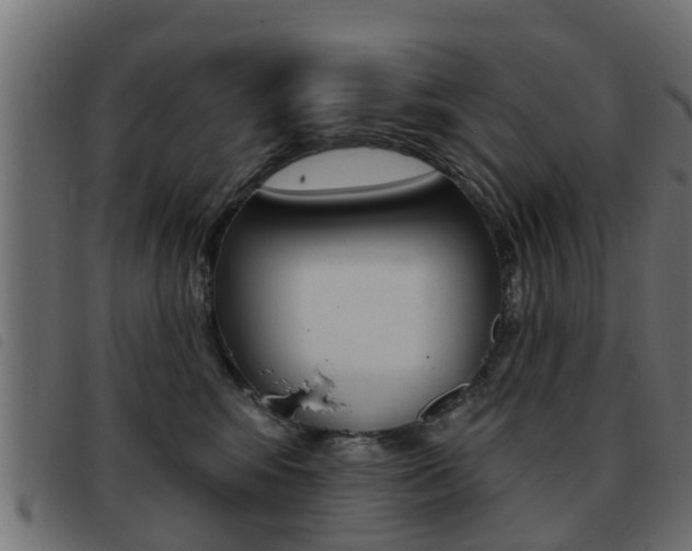 X0000093420424200710120900