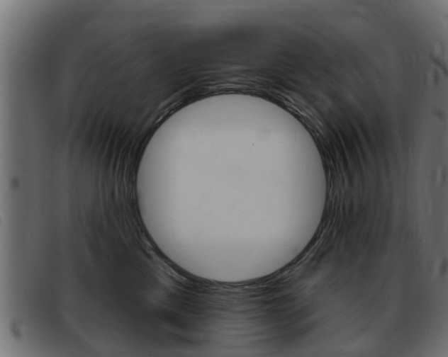 X0000093420425200710120900