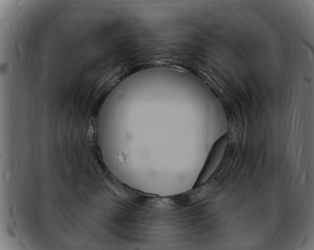 X0000093420427200710120900