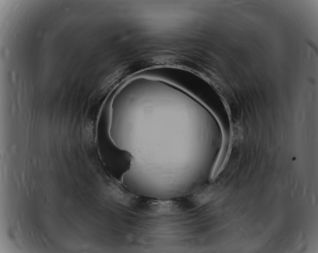X0000093420428200710120900