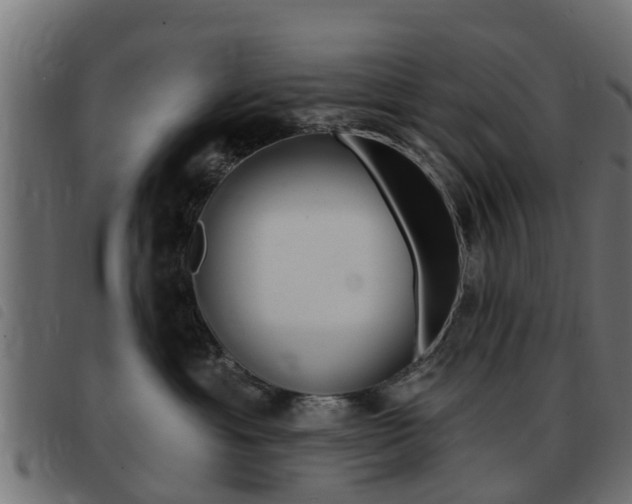 X0000093420429200710120900