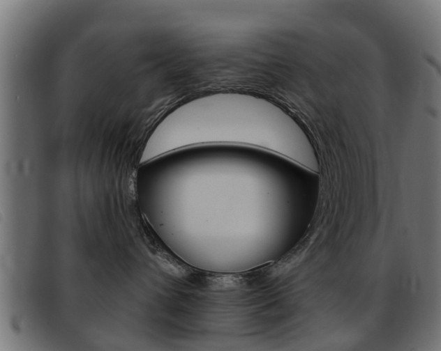 X0000093420432200710120900