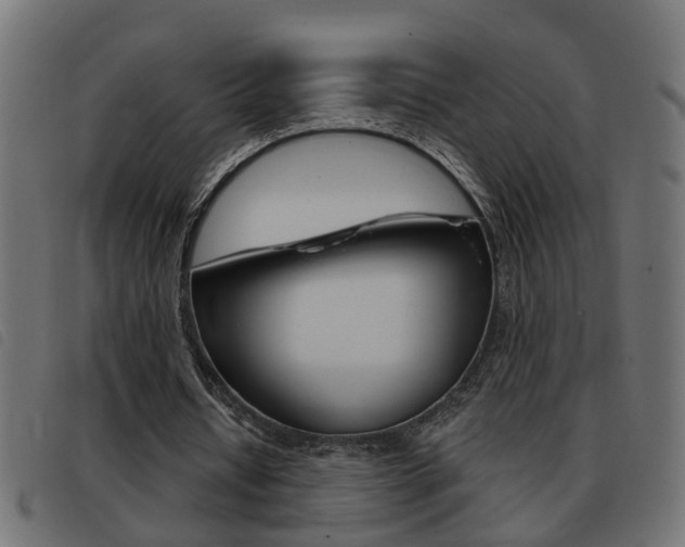 X0000093420434200710120900