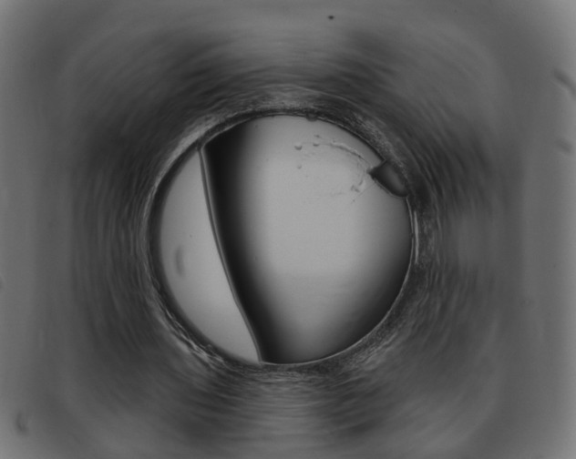X0000093420435200710120900