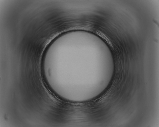 X0000093420436200710120900