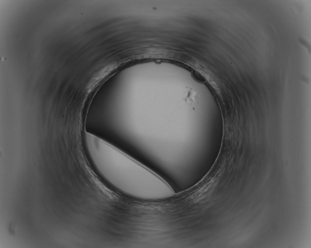 X0000093420437200710120900