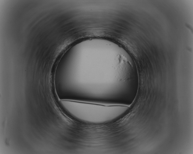 X0000093420439200710120900