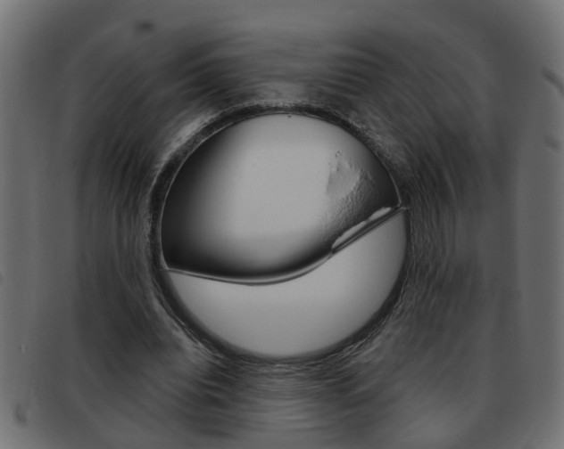 X0000093420440200710120900