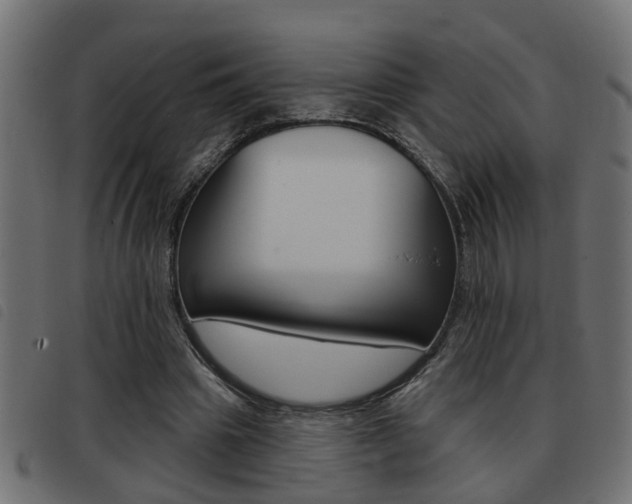 X0000093420441200710120900