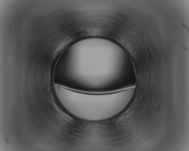 X0000093420442200710120900