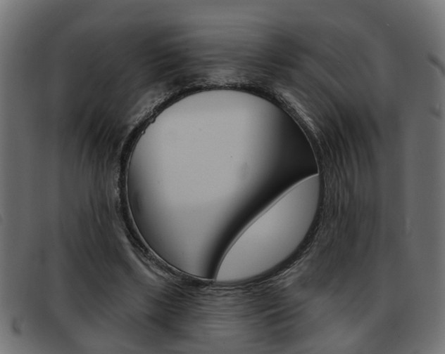 X0000093420443200710120900