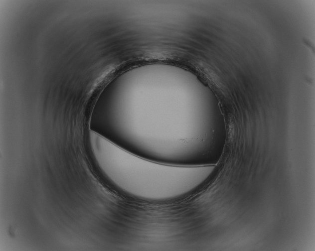 X0000093420444200710120900