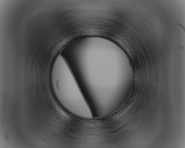X0000093420445200710120900