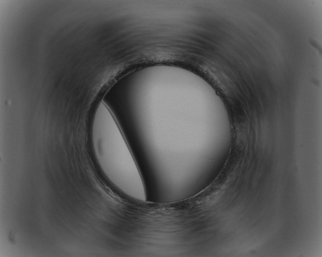 X0000093420447200710120900