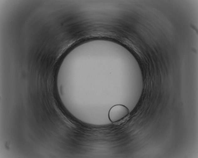 X0000093420448200710120900