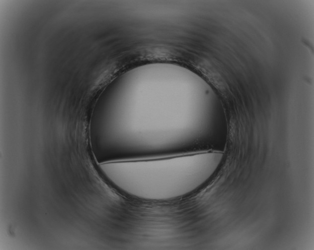 X0000093420449200710120900