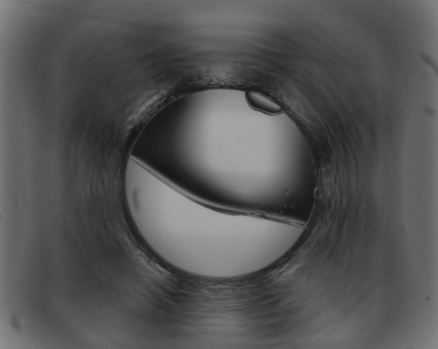 X0000093420450200710120900