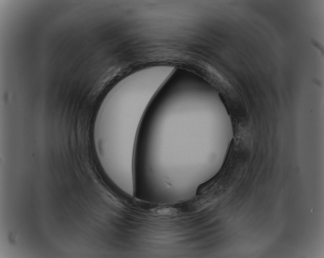 X0000093420452200710120900